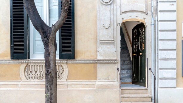 Fachada de edificio con árbol, ventana con contraventanas y entrada ornamentada.