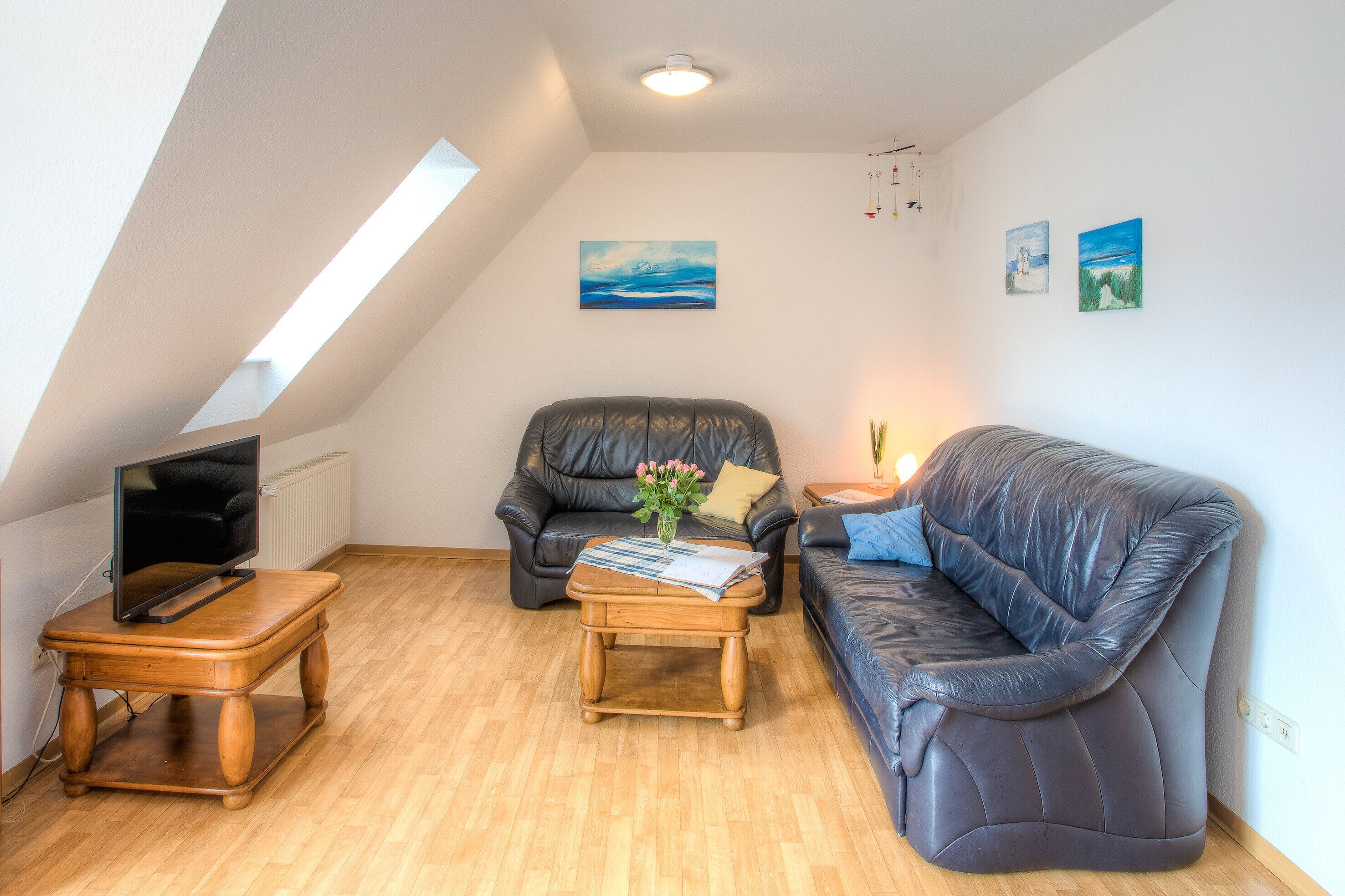 Televisión, estéreo