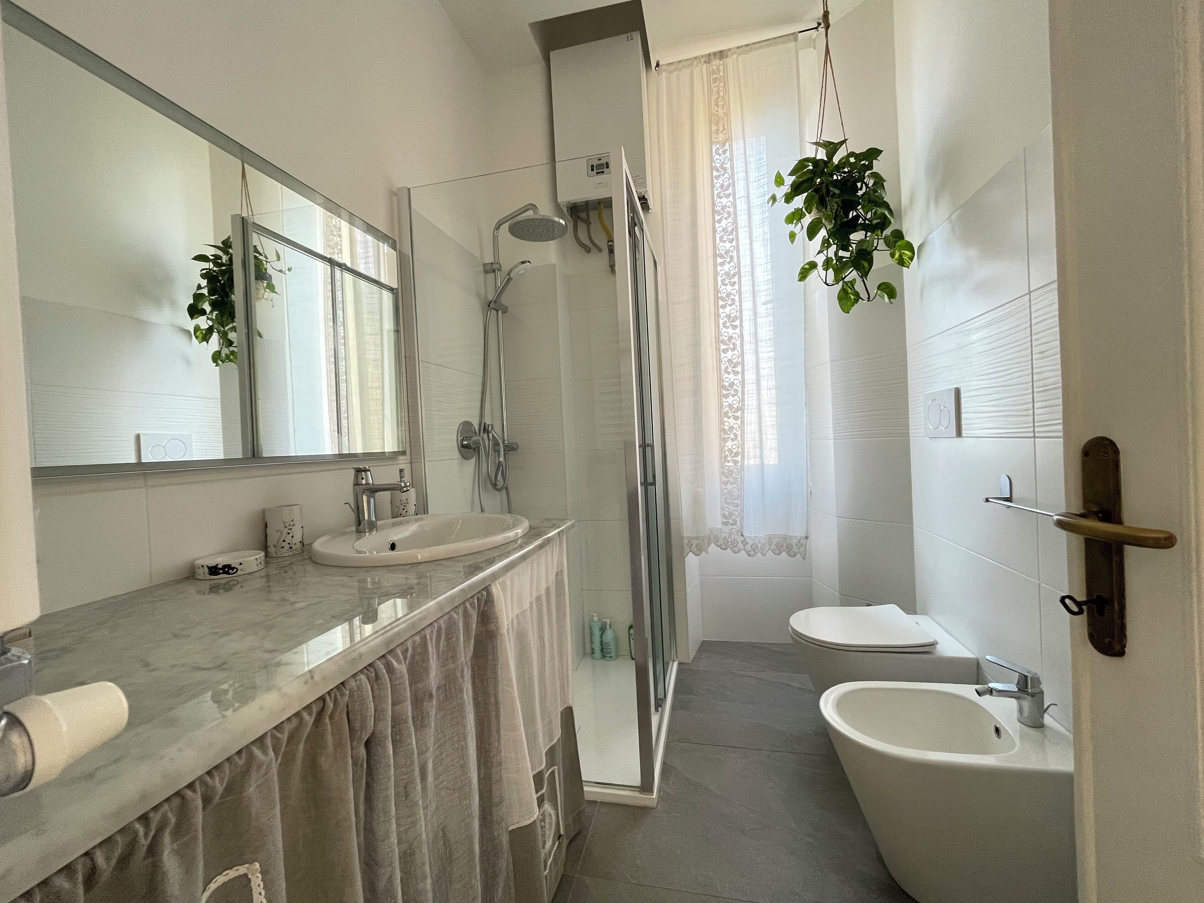 Shower, hair dryer, bidet, towels