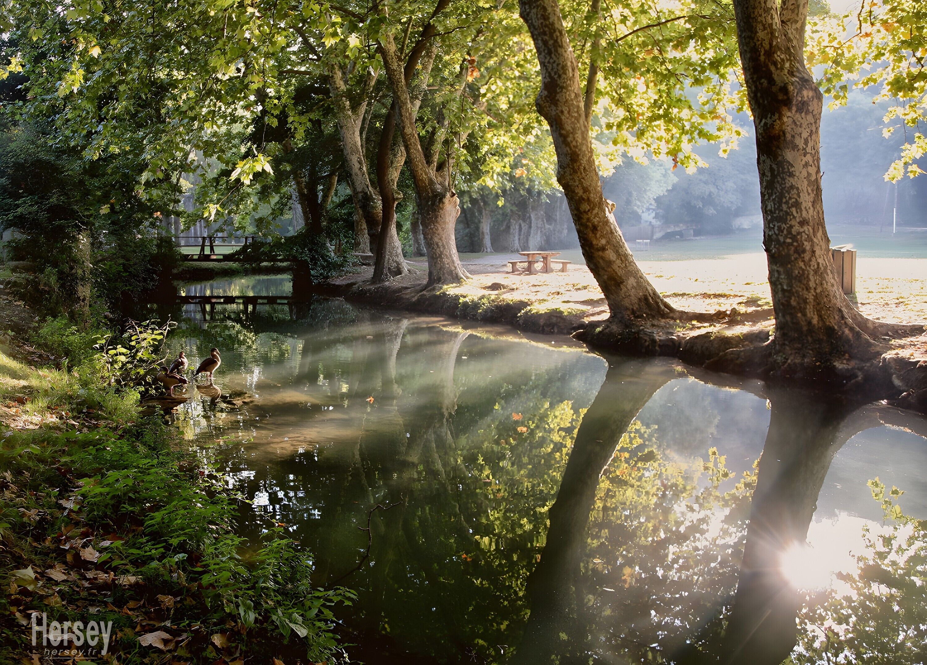 Áreas de la propiedad
