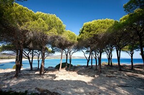 Appartamento, 2 camere da letto, balcone, vista giardino | Spiaggia