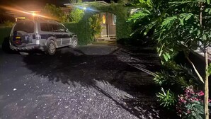 Une scène nocturne représentant un VUS garé dans une allée, entouré de verdure et d’une maison dont les fenêtres sont illuminées.