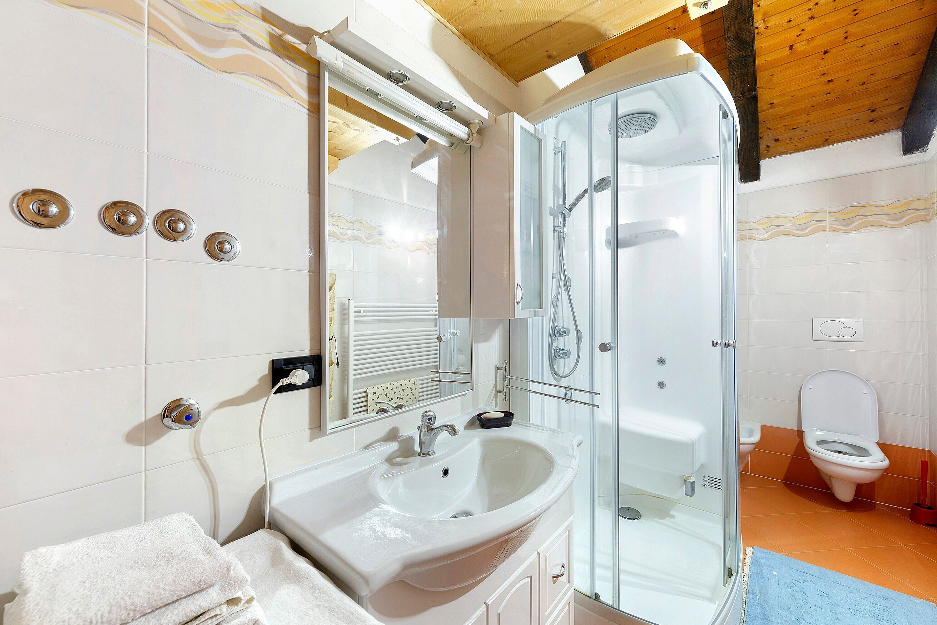 Shower, hair dryer, towels
