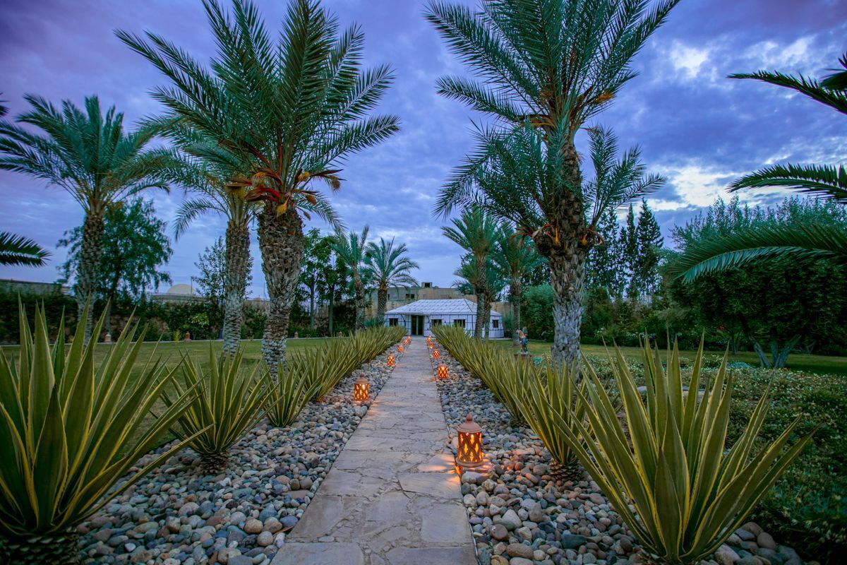 A pathway lined with palm trees and agave plants, leading to a building with a tiled roof.