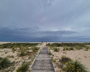 Vista desde la propiedad