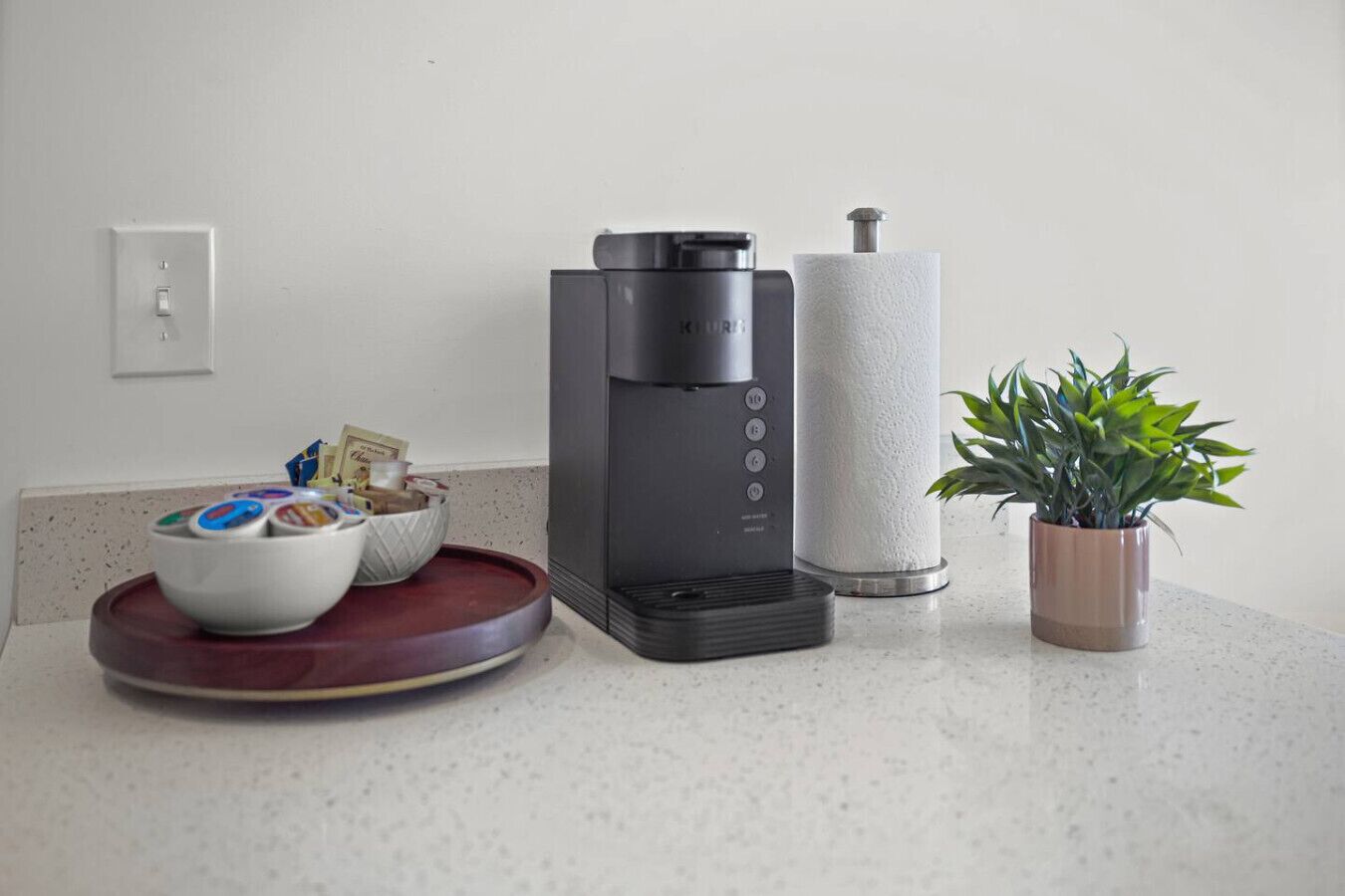 A kitchen counter with a coffee maker, a paper towel dispenser, a bowl with food items, and a potted plant.