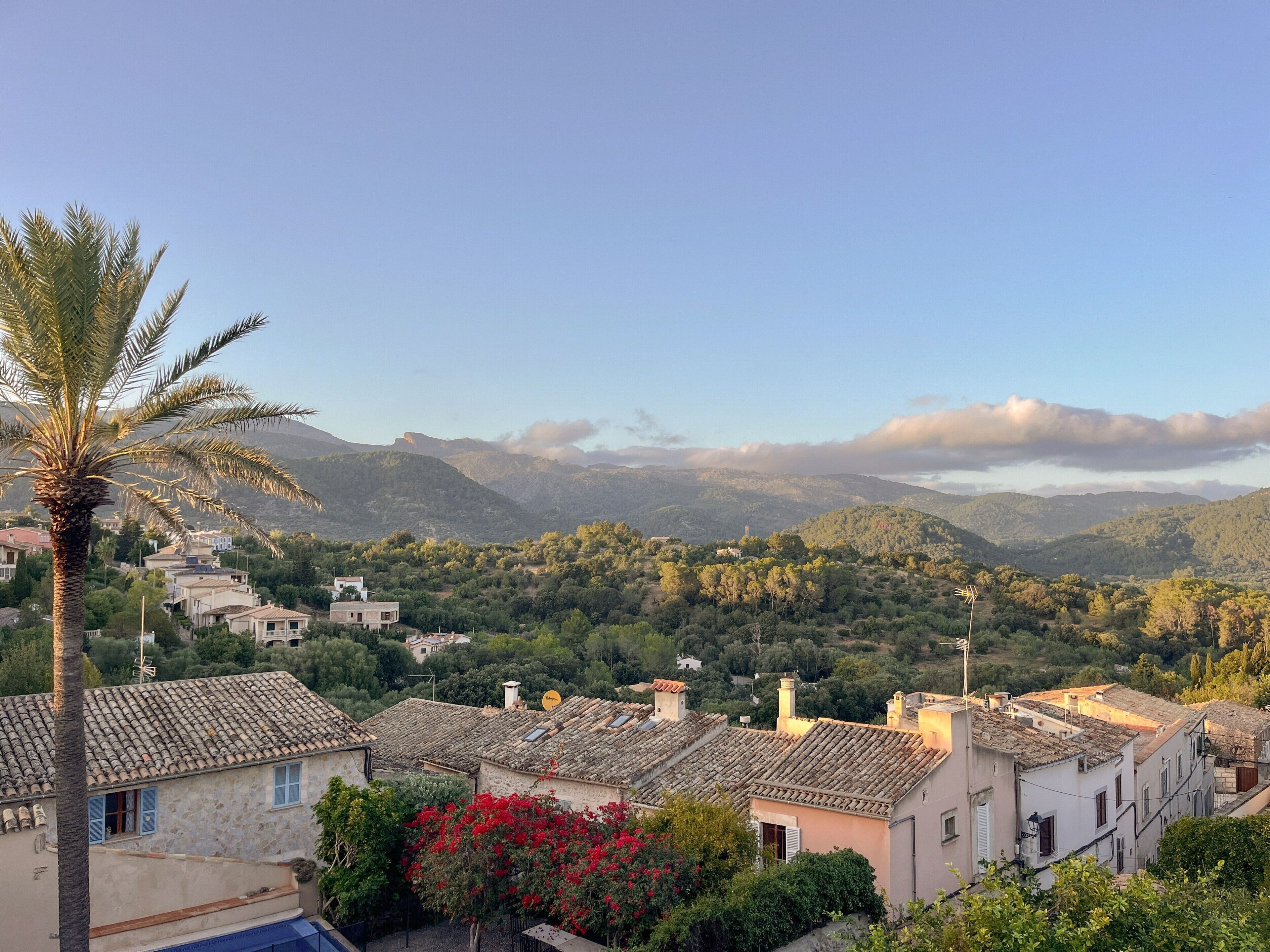 A hillside village with traditional stone buildings, a palm tree, and a view of distant mountains.