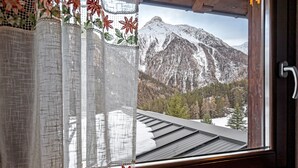 Ein Fenster mit Blick auf einen verschneiten Berg und eine bewaldete Landschaft.