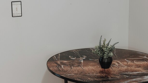 A round table with a deer painting and a potted plant. - Cozy 3-bedroom cabin with a spacious wrap around deck located in landisburg pa (Landisburg)