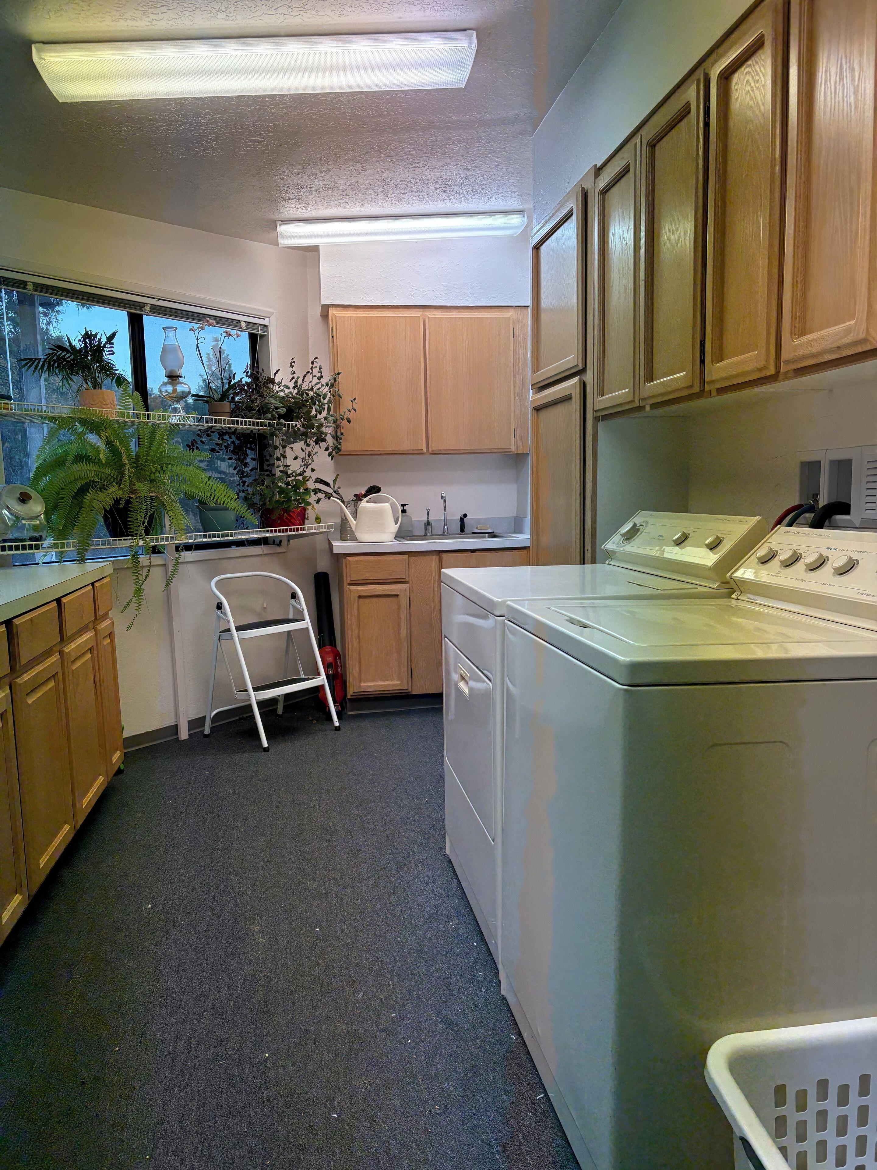 A compact kitchen with wooden cabinets, a washing machine, a sink, and a window with plants.
