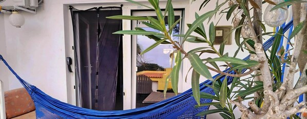 A doorway with a dark door, a blue hammock, and a plant with green leaves.