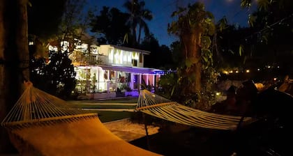 Tropical Studio: Near Beach's and Downtown