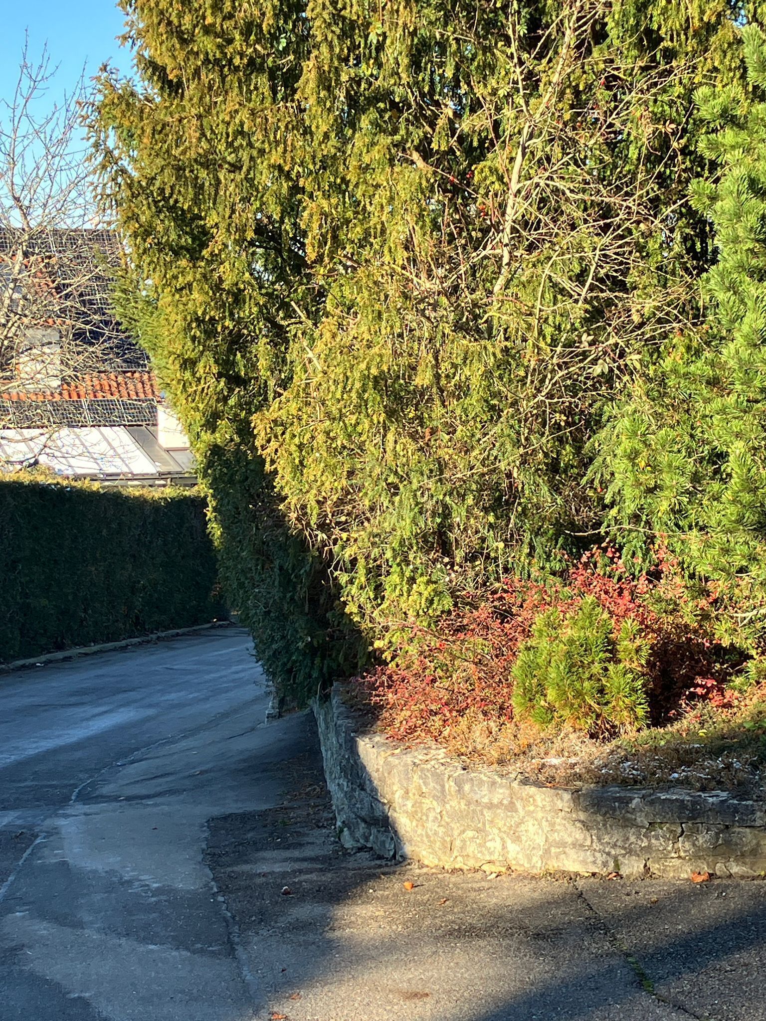 Enceinte de l’hébergement