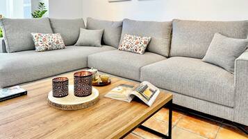 TV connectée, cheminée, lecteur de DVD, livres