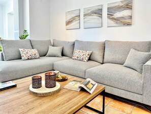 Älytelevisio, takka, DVD-soitin, kirjoja