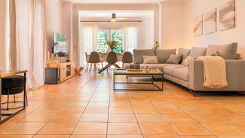 TV connectée, cheminée, lecteur de DVD, livres