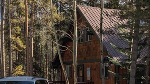 Une cabane avec un toit en métal, entourée d’arbres et de neige.
