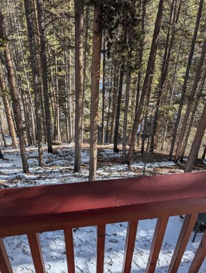 Property grounds - Lovely 4-bedroom house in Breckenridge perfect for your getaway (Breckenridge)