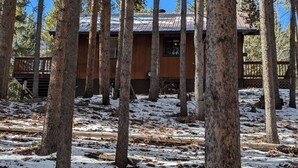Une cabane avec un toit en métal, entourée de grands arbres et d’un sol enneigé.