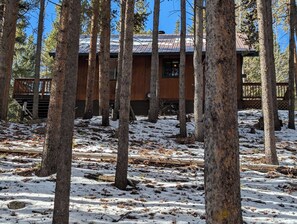 A cabin with a metal roof, surrounded by tall trees and a snowy ground. - Lovely 4-bedroom house in Breckenridge perfect for your getaway (Breckenridge)