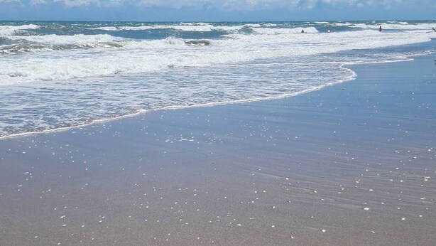 Une plage avec des vagues et un ciel dégagé.