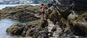 Homely Cottage & Garden nr Fowey, Private Parking