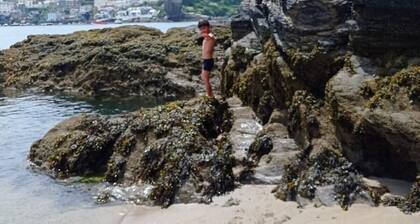 Homely Cottage & Garden nr Fowey, Private Parking