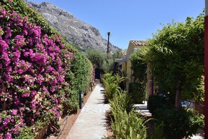Property grounds - Barbati Beach - Villa Lefkada (Barbati)