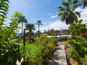 Property grounds - New Sweden By CanariasGetaway (San Bartolomé de Tirajana)