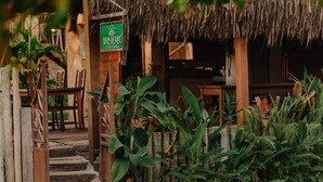 Un'ingresso rustico in legno con tetto di paglia, circondato da rigogliosa vegetazione tropicale.