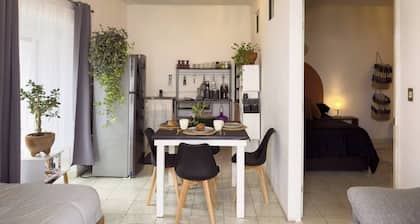 HOUSE 209, 1-7 GUESTS JALATLACO 10 MIN WALK TO DOWNTOWN FULLY EQUIPPED