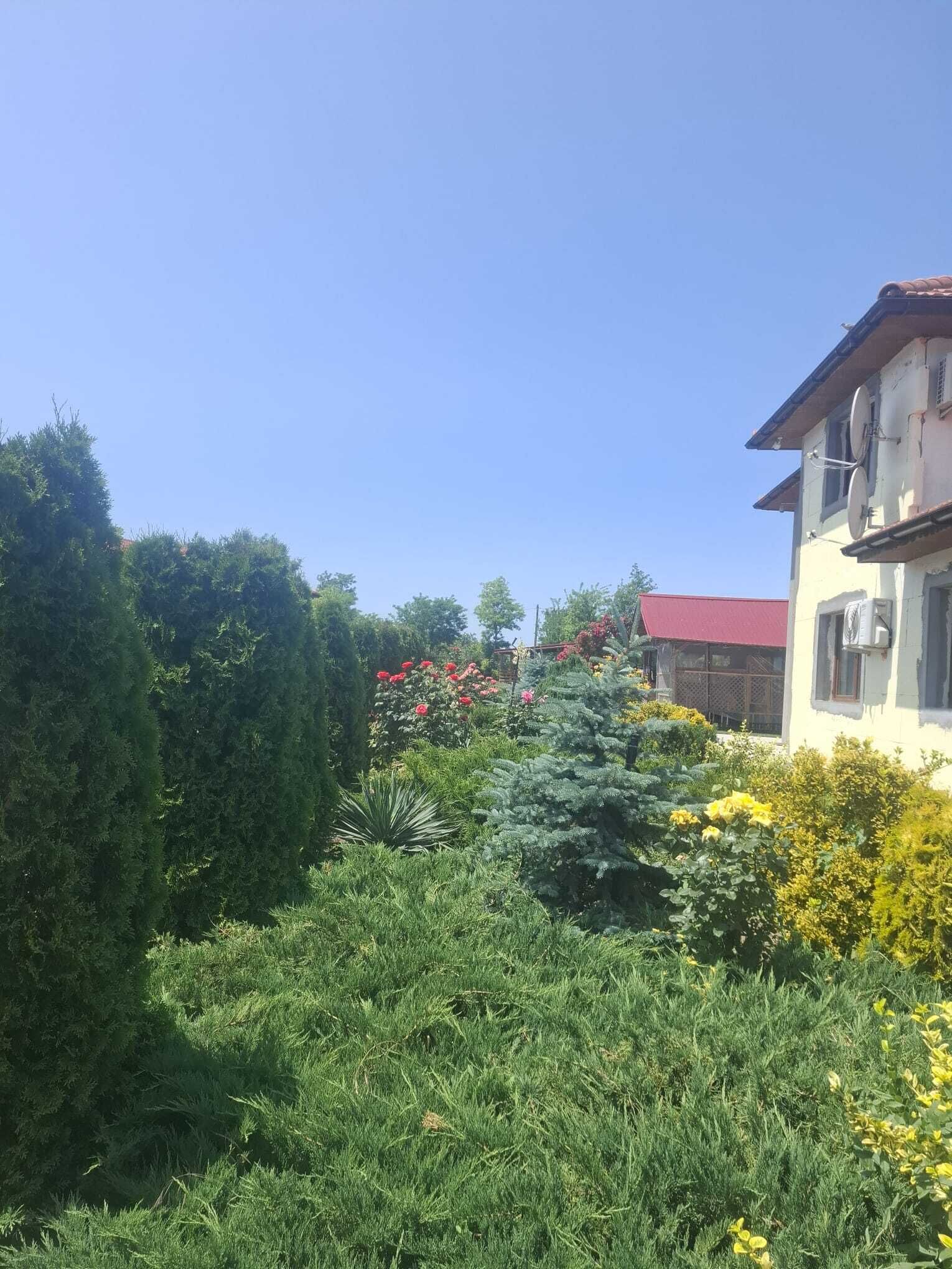 Un giardino con diverse piante e fiori, un edificio con tetto rosso e un cielo azzurro limpido.