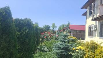 Un giardino con diverse piante e fiori, un edificio con tetto rosso e un cielo azzurro limpido.