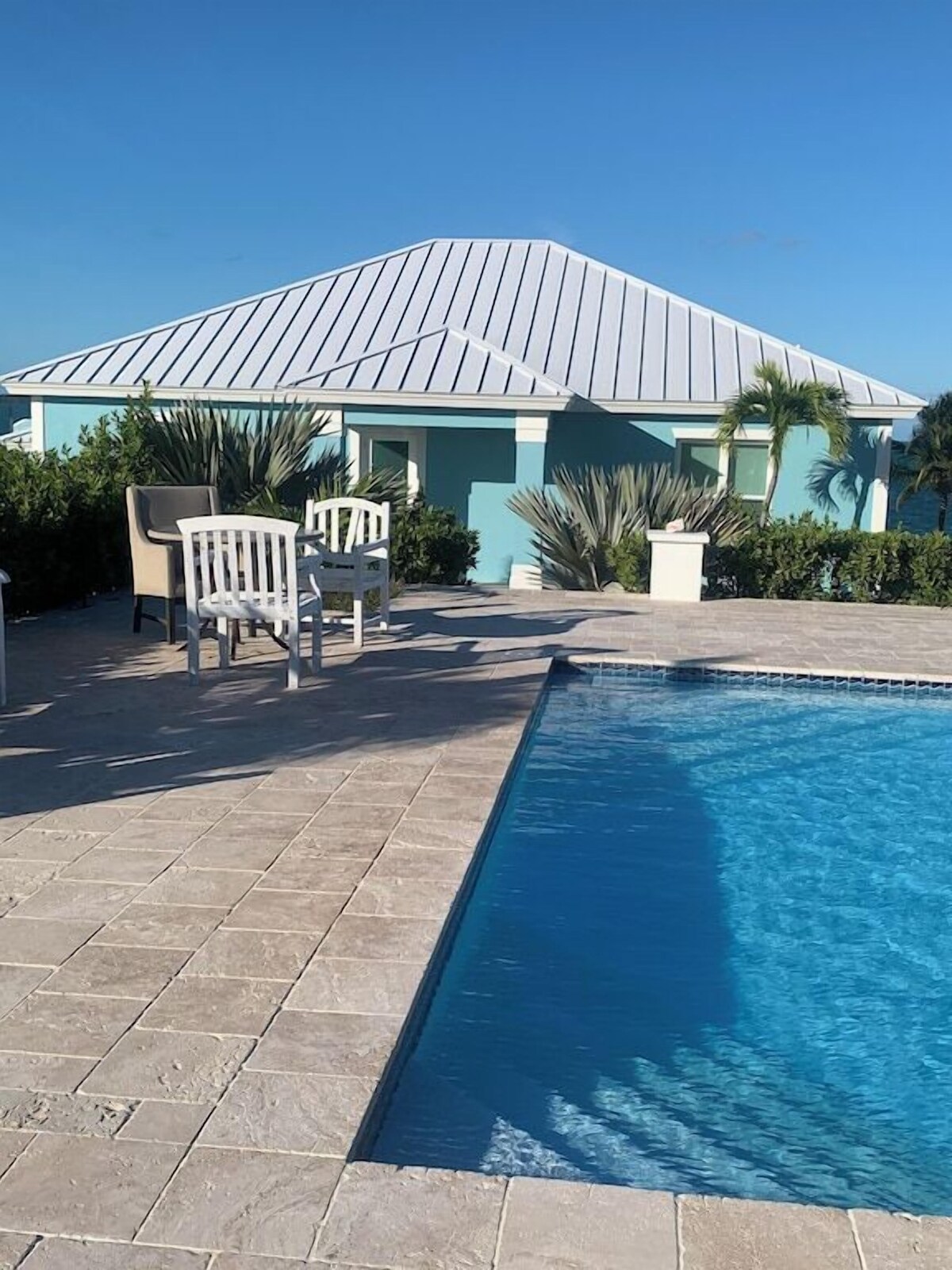 Imagen de perfil del propietario o de la propietaria