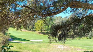Camp de golf amb tanca de fusta, arbres i cel blau.