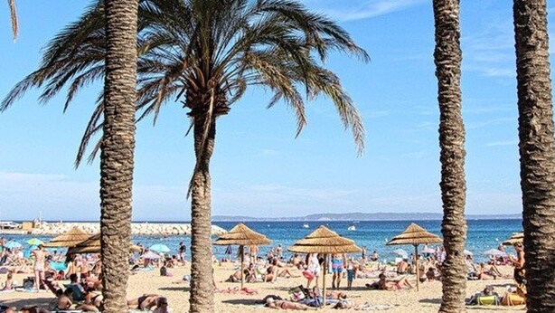 Una spiaggia con palme, ombrelloni e persone che prendono il sole.