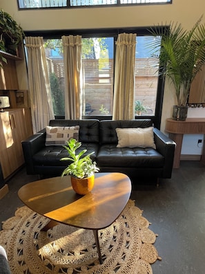 Smart TV, fireplace, video games, books