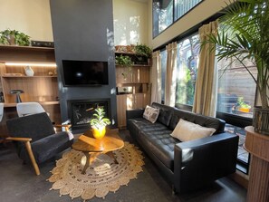 Smart TV, fireplace, video games, books