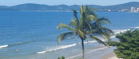 ビーチ、サンラウンジャー