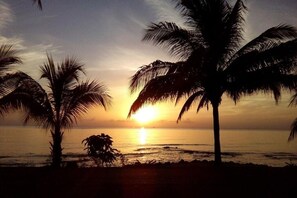 Sun-loungers, beach towels - NEW-Cozy 2-bedroom apartment in gorgeous Cozumel - Ocean Front Property (Cozumel)