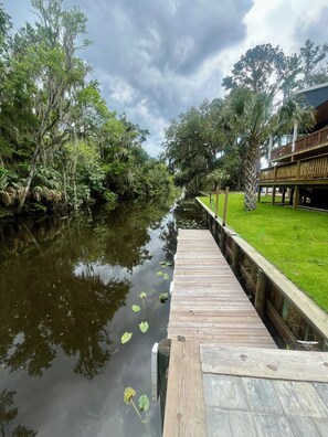 Une jetée en bois s’étendant sur une étendue d’eau calme, entourée d’une végétation luxuriante et d’arbres.