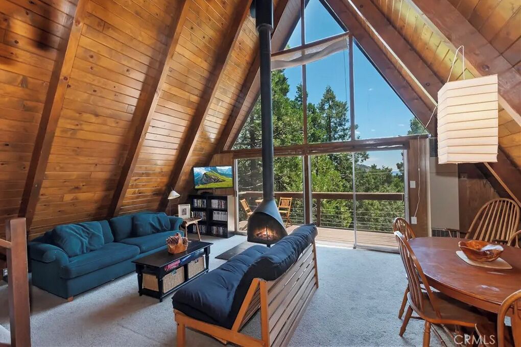 TV connectée, cheminée, lecteur de DVD, livres