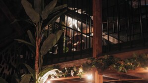 A room with a large window, wooden beams, and indoor plants. - Intense (Manage)