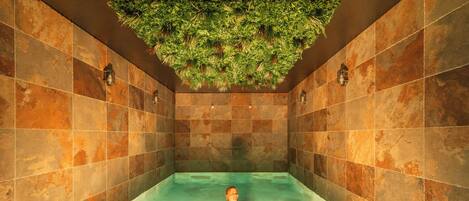 Suite luxueuse, piscine privée | Piscine privée