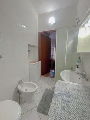 Dusche, Haartrockner, Bidet, Handtücher