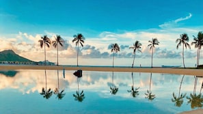 Een strand met palmbomen en een heldere lucht.