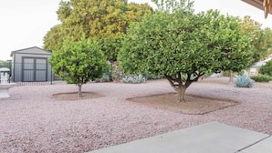 Un espace aménagé avec deux arbres, un chemin de gravier et un bâtiment entouré d’une clôture en métal.