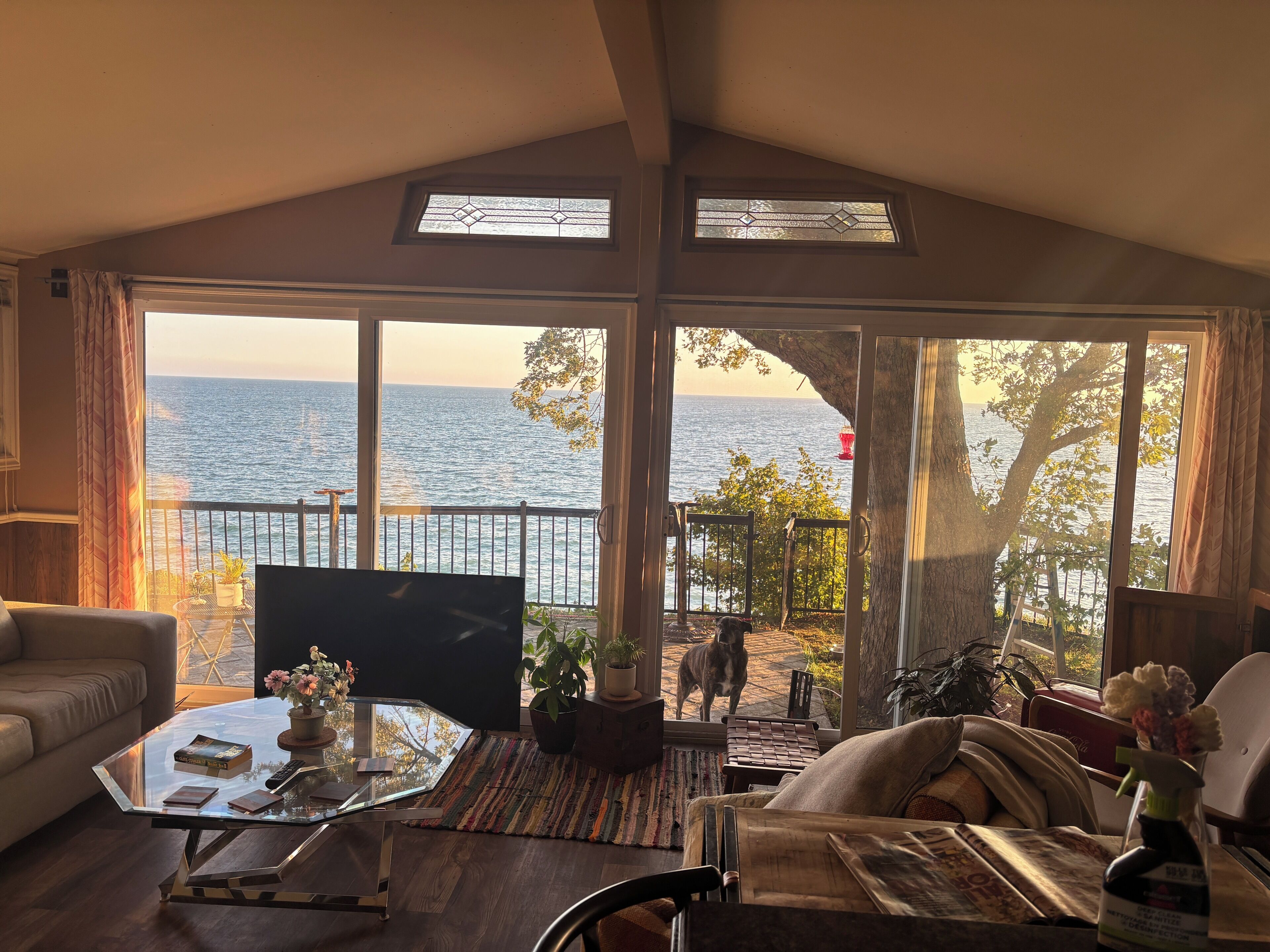 リビング エリア