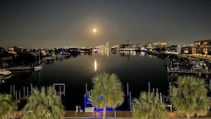 Una marina nocturna con aguas tranquilas que reflejan las luces de la ciudad, un muelle con palmeras y un puente a lo lejos.
