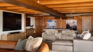 TV connectée, cheminée, livres